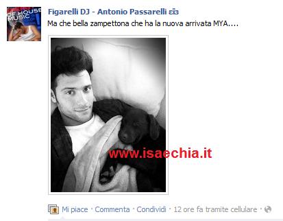 Antonio Passarelli: foto preview