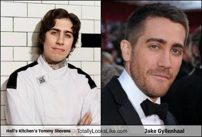 Somiglianza tra Jake Gyllenhaal e Tommy Stevens
