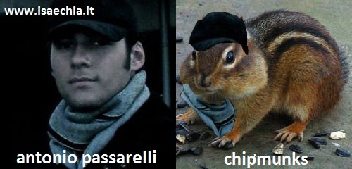 Somiglianza fra Antonio Passarelli e un Chipmunks
