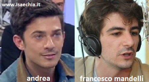 Somiglianza tra Andrea Cestoni e Francesco Mandelli preview