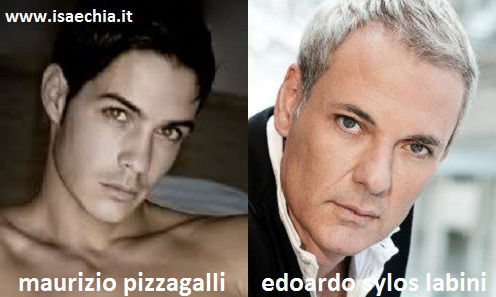 Somiglianza tra Maurizio Pizzagalli e Edoardo Sylos Labini preview