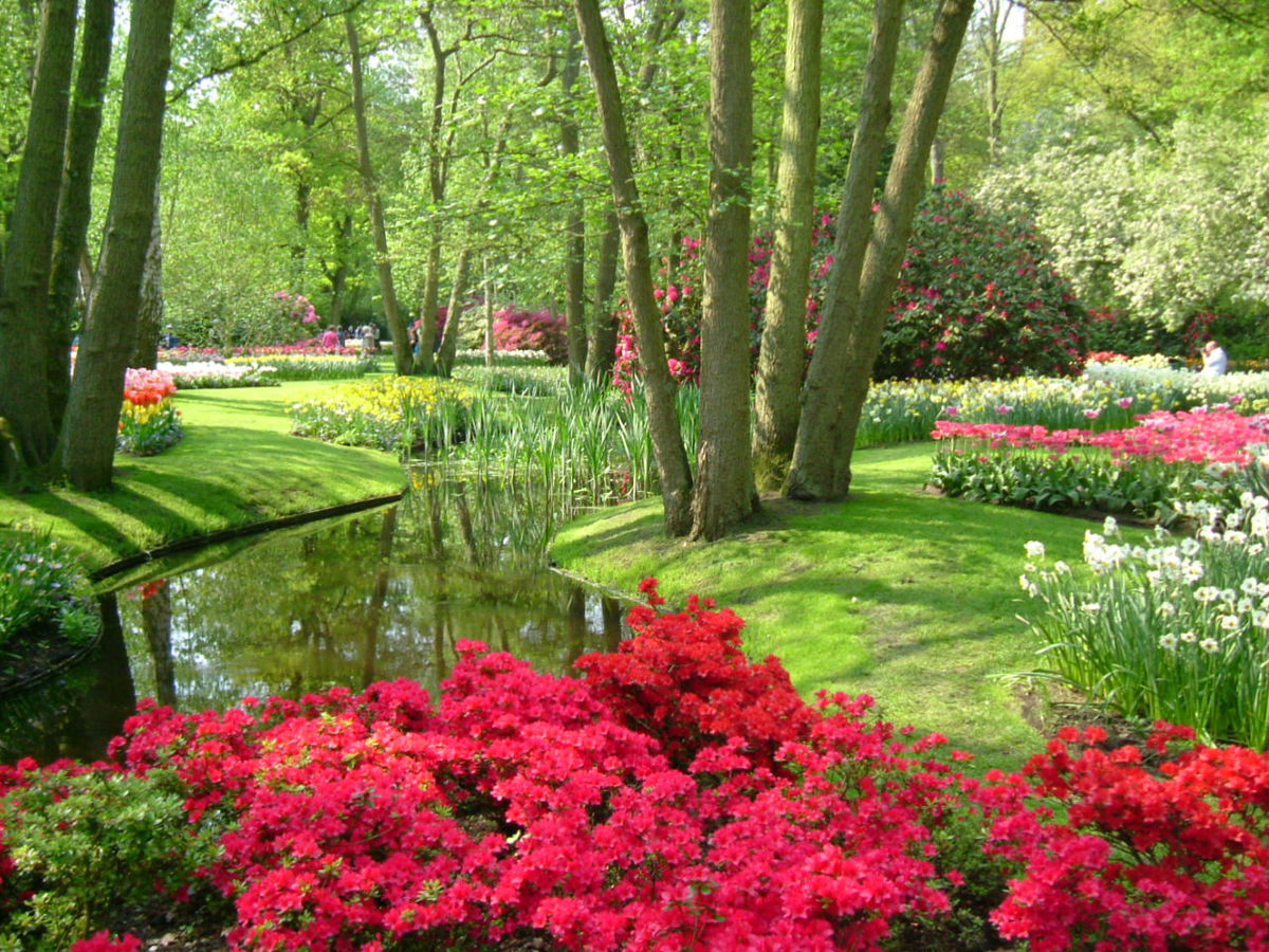 Diario di una viaggiatrice appassionata: Amsterdam article-post