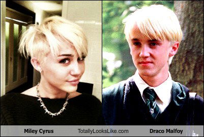 Somiglianza tra Miley Cyrus e Draco Malfoy preview