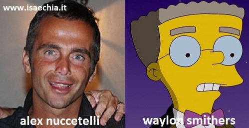 Somiglianza tra Alex Nuccetelli e Waylon Smithers de ‘I Simpson’