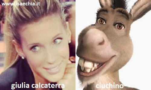 Somiglianza tra Giulia Calcaterra e Ciuchino di 'Shrek'