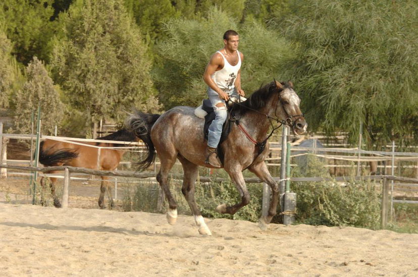 Gianni Sperti: foto preview