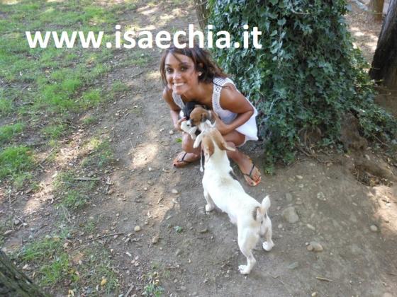 Maria Riccio Maria Riccio