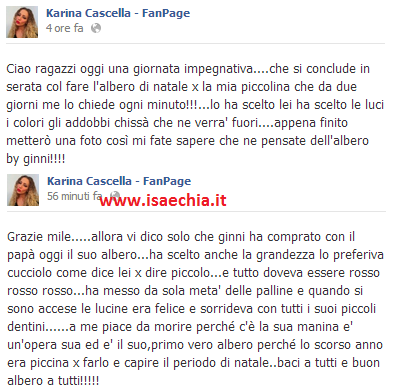Karina Cascella pubblica su Facebook l’albero di Natale della piccola Ginevra e scrive.. article-post