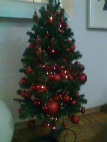 Karina Cascella Karina Cascella