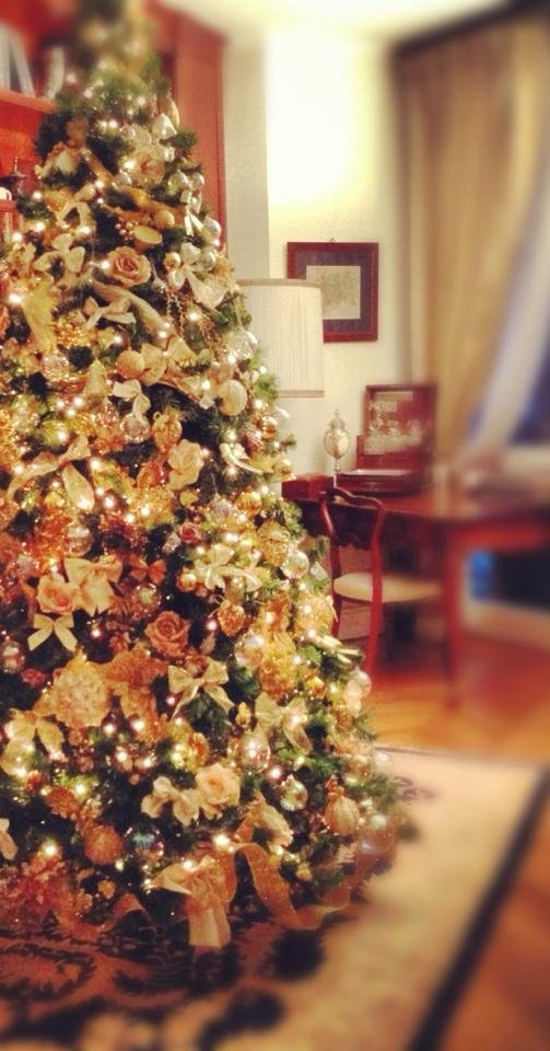 Roberta Ruiu su Facebook posta la foto del suo albero di Natale. E scrive…