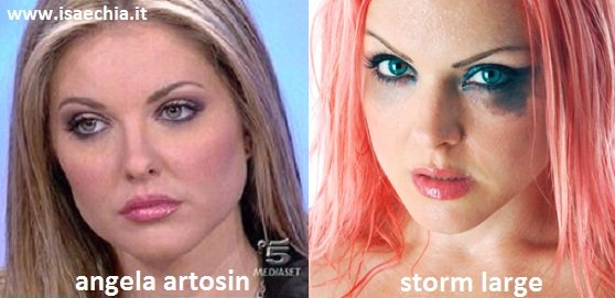Somiglianza tra Angela Artosin e Storm Large
