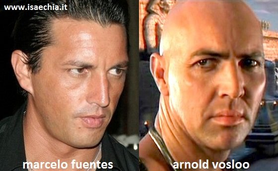 Somiglianza tra Marcelo Fuentes e Arnold Vosloo