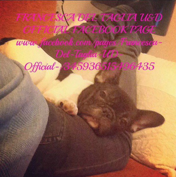 Francesca Del Taglia pubblica su Instagram una foto con il maglione di Andrea Offredi: foto article-post