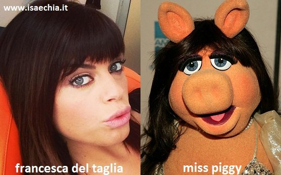 Somiglianza tra Francesca Del Taglia e Miss Piggy