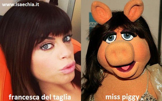 Somiglianza tra Francesca Del Taglia e Miss Piggy preview