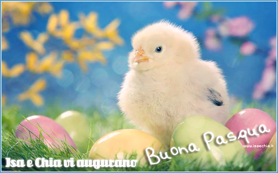 Buona Pasqua! preview
