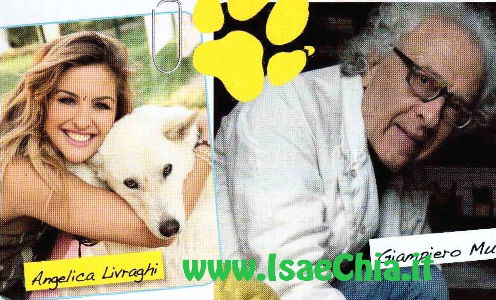Amici a 4 zampe di Angelica Livraghi: Intervista a Giampiero Mughini article-post