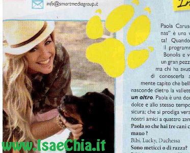 Amici a quattro zampe di Angelica Livraghi preview