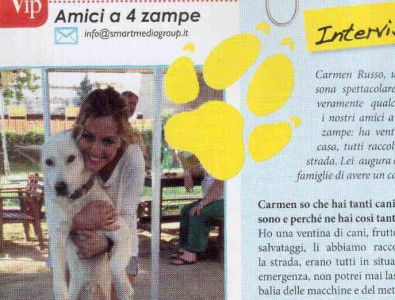 Amici a quattro zampe di Angelica Livraghi article-post