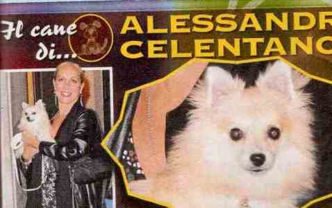 Il cane di Alessandra Celentano / Questo è l’ombelico di Lorella Boccia article-post