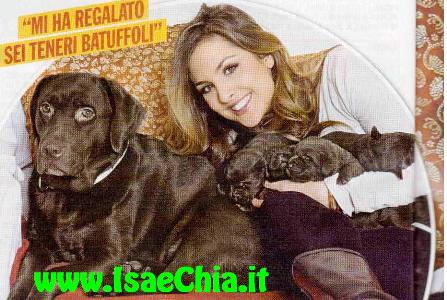 Angelica Livraghi: “Regalo il mio cuore solo a chi non mi tradirà mai!” article-post