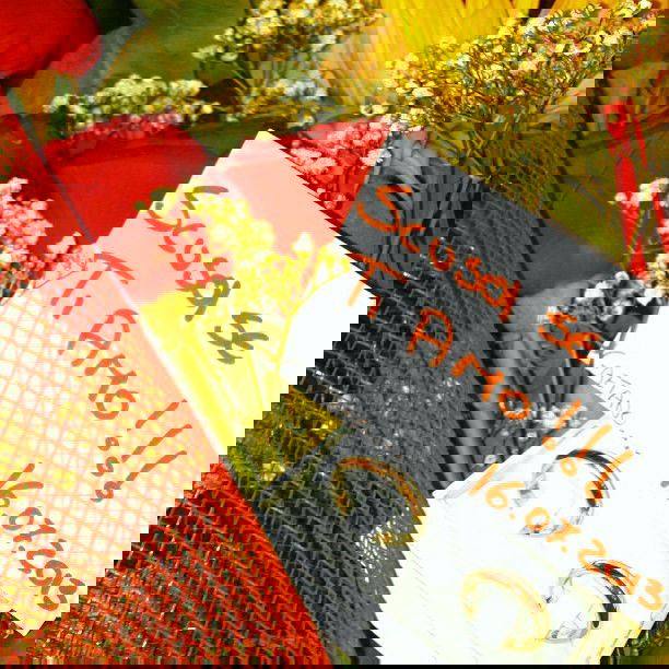 Martina Giuffrida e Gaetano Berardinelli: foto preview