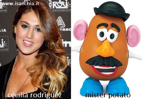 Somiglianza tra Cecilia Rodriguez e Mister Potato