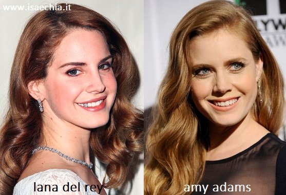 Somiglianza tra Lana Del Rey e Amy Adams