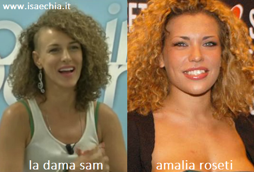 Somiglianza tra la dama Sam e Amalia Roseti