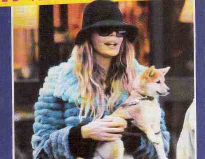 Con questo cucciolo in braccio Nina Moric pensa al piccolo di casa / Alessia Marcuzzi in edicola vuole sapere…se si parla ancora di lei article-post