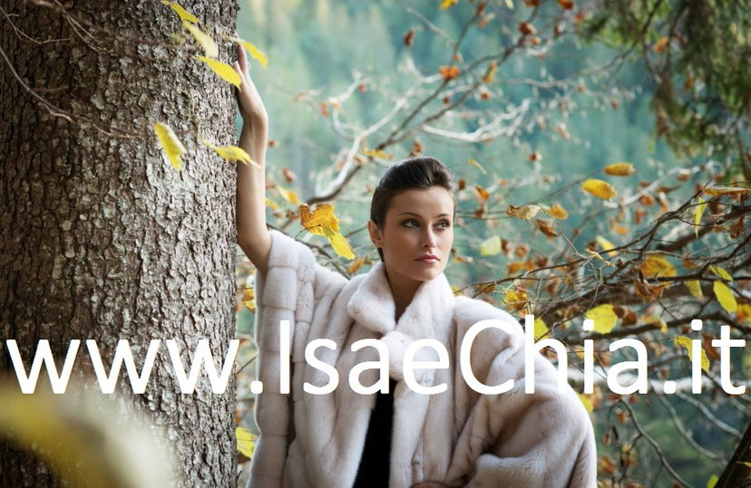 Irene Casartelli posa per un marchio di pellicce: le foto. E la replica di Irene alle critiche ricevute… preview