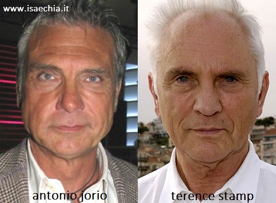 Somiglianza tra Antonio Jorio e Terence Stamp