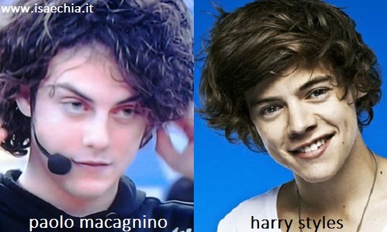 Somiglianza tra Paolo Macagnino e Harry Styles