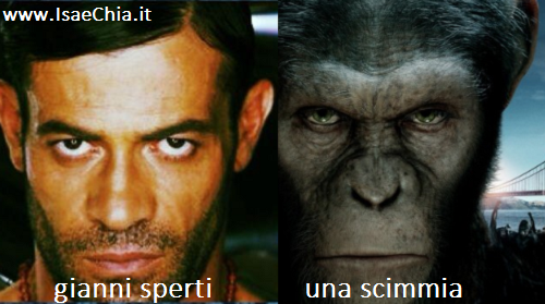 Somiglianza tra Gianni Sperti e una scimmia