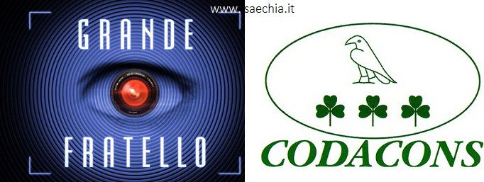 ‘Grande Fratello 13’: nessun controllo sul televoto. I call center? “Li hanno sempre usati, se uno ha i soldi….” article-post