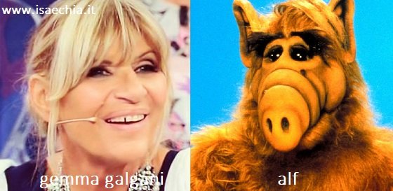 Somiglianza tra Gemma Galgani e Alf