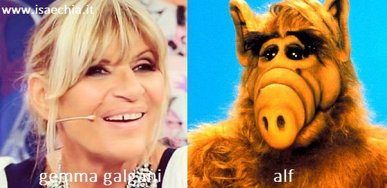 Somiglianza tra Gemma Galgani e Alf preview