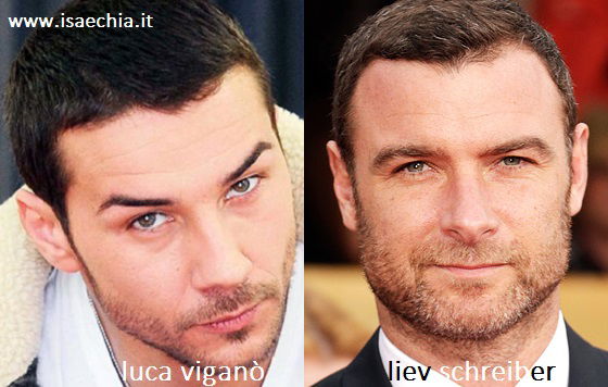 Somiglianza tra Luca Viganò e Liev Schreiber article-post