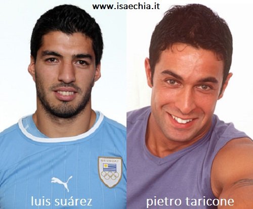 Somiglianza tra Luis Suárez e Pietro Taricone