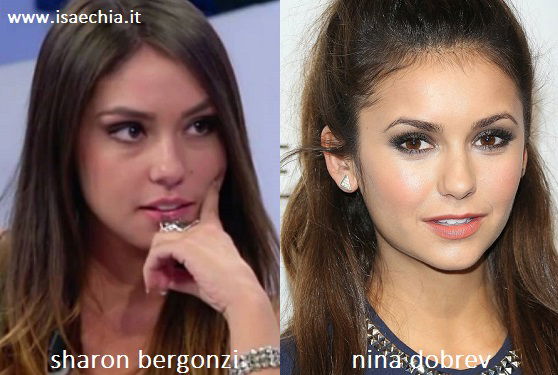Somiglianza tra Sharon Bergonzi e Nina Dobrev article-post