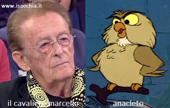 Somiglianza tra il cavaliere Marcello e Anacleto de ‘La Spada nella Roccia’ preview