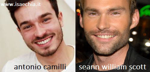Somiglianza tra Antonio Camilli e Seann William Scott preview