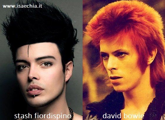 Somiglianza tra Stash Fiordispino e David Bowie