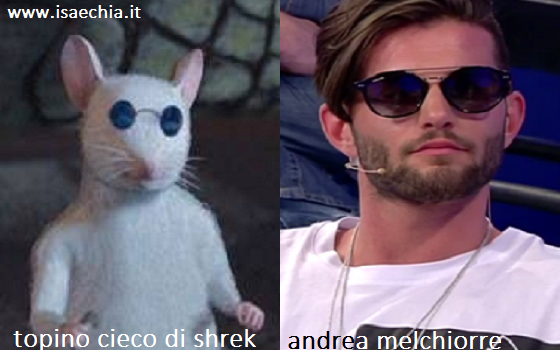 Somiglianza tra Andrea Melchiorre e il topino cieco di 'Shrek'
