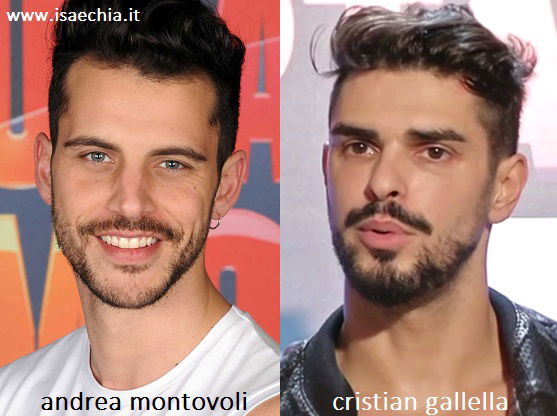 Somiglianza tra Andrea Montovoli e Cristian Gallella preview