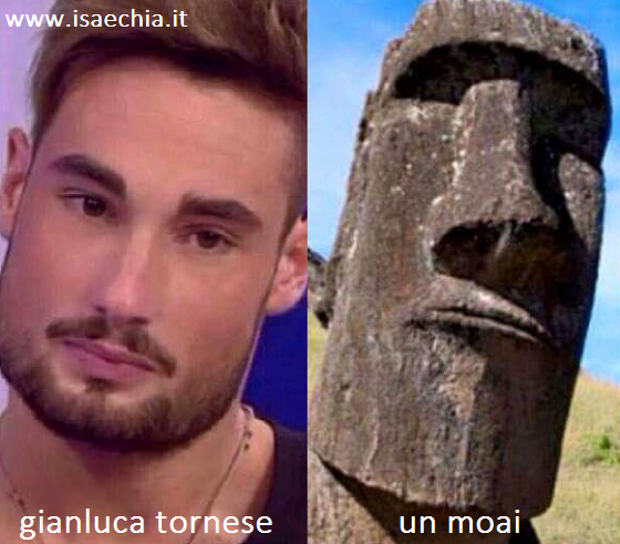 Somiglianza tra Gianluca Tornese e un Moai dell’Isola di Pasqua