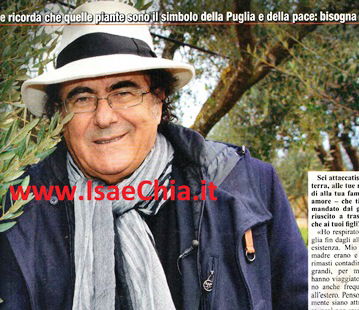 Al Bano: “Sradicare gli ulivi del Salento non è la soluzione giusta contro il parassita killer!” preview