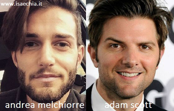 Somiglianza tra Andrea Melchiorre e Adam Scott preview