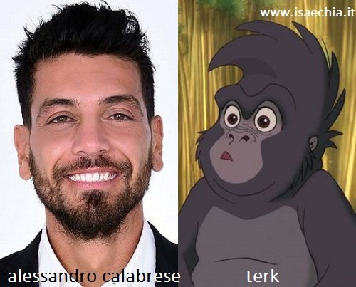 Somiglianza tra Alessandro Calabrese e la scimmietta Terk