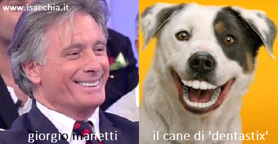 Somiglianza tra Giorgio Manetti e il cane dello spot 'Dentastix'